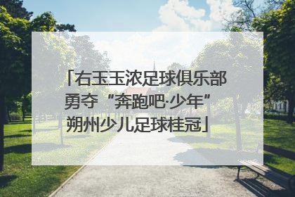 右玉玉浓足球俱乐部勇夺“奔跑吧·少年”朔州少儿足球桂冠