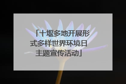 十堰多地开展形式多样世界环境日主题宣传活动