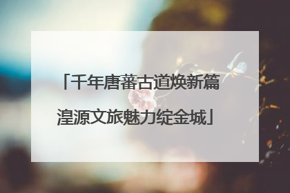 千年唐蕃古道焕新篇 湟源文旅魅力绽金城
