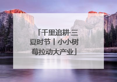 千里追耕·三夏时节丨小小树莓拉动大产业