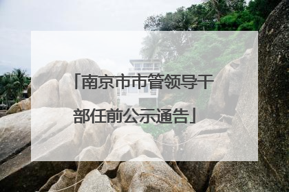 南京市市管领导干部任前公示通告
