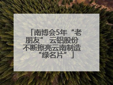 南博会5年“老朋友” 云铝股份不断擦亮云南制造“绿名片”