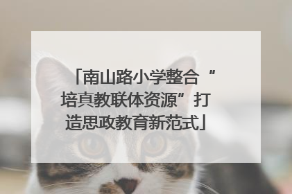 南山路小学整合“培真教联体资源”打造思政教育新范式