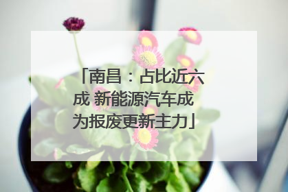 南昌：占比近六成 新能源汽车成为报废更新主力