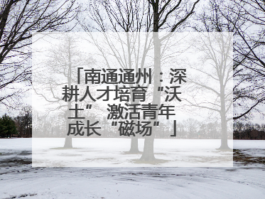 南通通州：深耕人才培育“沃土” 激活青年成长“磁场”