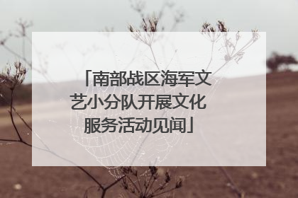 南部战区海军文艺小分队开展文化服务活动见闻