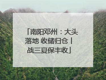 南阳邓州：大头落地 收储归仓丨战三夏保丰收