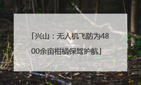 兴山：无人机飞防为4800余亩柑橘保驾护航