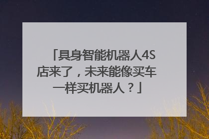 具身智能机器人4S店来了，未来能像买车一样买机器人？