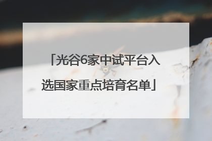光谷6家中试平台入选国家重点培育名单