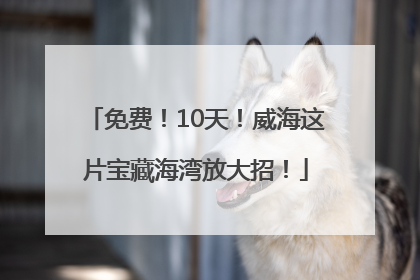免费！10天！威海这片宝藏海湾放大招！