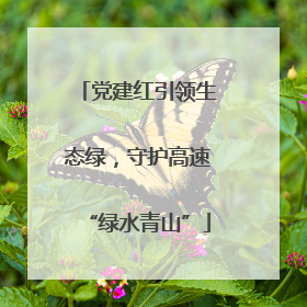 党建红引领生态绿，守护高速“绿水青山”