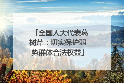 全国人大代表葛树芹：切实保护弱势群体合法权益