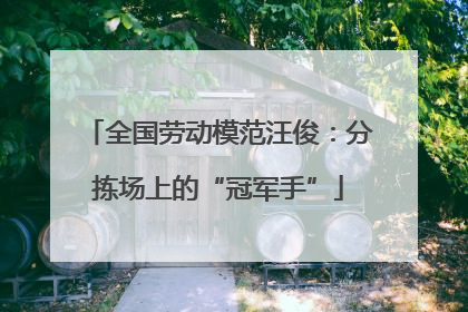 全国劳动模范汪俊：分拣场上的“冠军手”