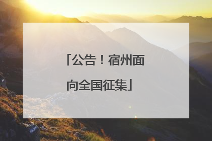 公告！宿州面向全国征集