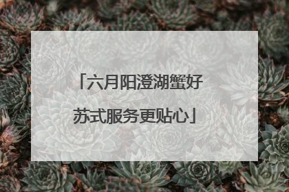 六月阳澄湖蟹好 苏式服务更贴心