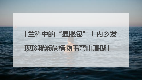 兰科中的“显眼包”！内乡发现珍稀濒危植物毛萼山珊瑚