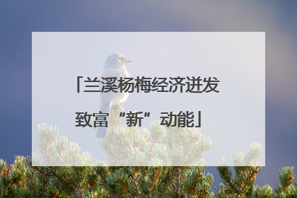 兰溪杨梅经济迸发致富“新”动能
