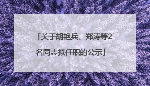 关于胡艳兵、郑涛等2名同志拟任职的公示