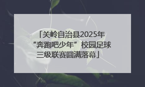关岭自治县2025年“奔跑吧少年”校园足球三级联赛圆满落幕