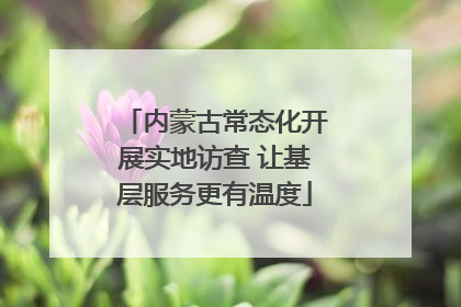 内蒙古常态化开展实地访查 让基层服务更有温度