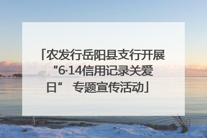 农发行岳阳县支行开展“6·14信用记录关爱日” 专题宣传活动