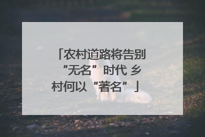 农村道路将告别“无名”时代 乡村何以“著名”