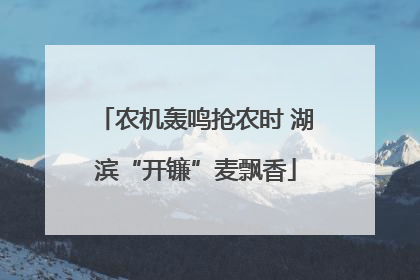 农机轰鸣抢农时 湖滨“开镰”麦飘香