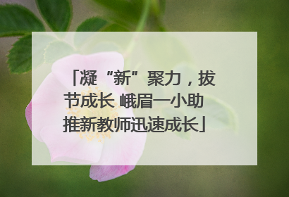 凝“新”聚力，拔节成长 峨眉一小助推新教师迅速成长