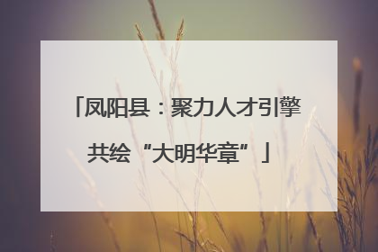 凤阳县：聚力人才引擎 共绘“大明华章”