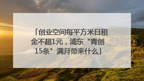 创业空间每平方米日租金不超1元,浦东“青创15条”满月带来什么