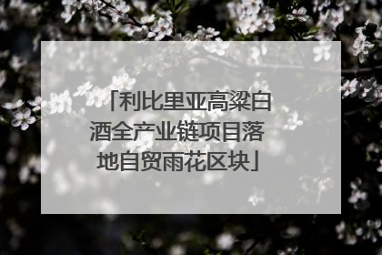 利比里亚高粱白酒全产业链项目落地自贸雨花区块