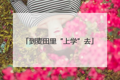 到麦田里“上学”去