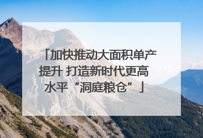 加快推动大面积单产提升 打造新时代更高水平“洞庭粮仓”