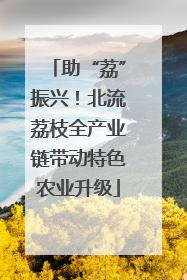 助“荔”振兴!北流荔枝全产业链带动特色农业升级