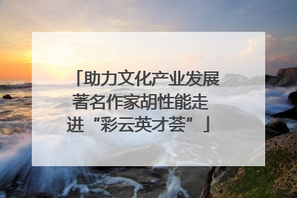 助力文化产业发展 著名作家胡性能走进“彩云英才荟”