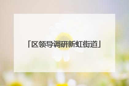 区领导调研新虹街道