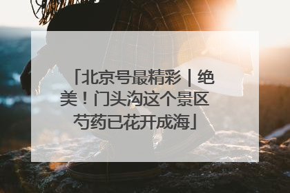 北京号最精彩｜绝美！门头沟这个景区芍药已花开成海