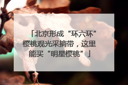 北京形成“环六环”樱桃观光采摘带，这里能买“明星樱桃”