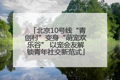 北京10号线“青创村”变身“萌宠欢乐谷” 以宠会友解锁青年社交新范式