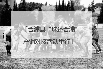 合浦县“珠还合浦”产销对接活动举行