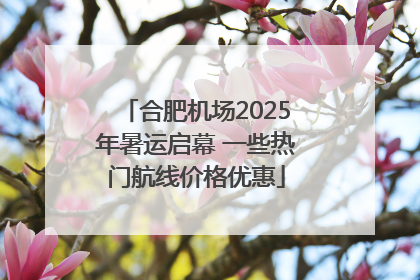 合肥机场2025年暑运启幕 一些热门航线价格优惠