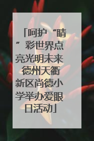 呵护“睛”彩世界点亮光明未来 德州天衢新区尚德小学举办爱眼日活动