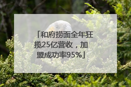 和府捞面全年狂揽25亿营收，加盟成功率95%