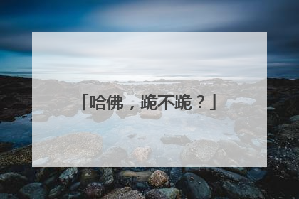哈佛，跪不跪？