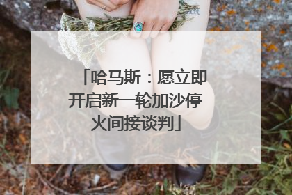 哈马斯：愿立即开启新一轮加沙停火间接谈判