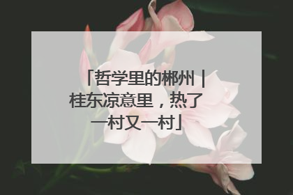 哲学里的郴州｜桂东凉意里，热了一村又一村