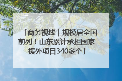 商务视线｜规模居全国前列！山东累计承担国家援外项目340多个