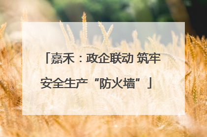 嘉禾：政企联动 筑牢安全生产“防火墙”