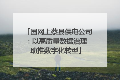 国网上蔡县供电公司：以高质量数据治理 助推数字化转型